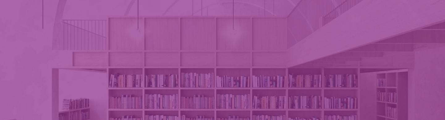 Author Identity and Voice Development